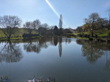Terrains de loisirs bois etangs a vendre Les Herbiers 85500 Vendée 4125 m2  18000 euros