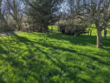 Terrains de loisirs bois etangs a vendre Les Herbiers 85500 Vendée 4125 m2  18000 euros