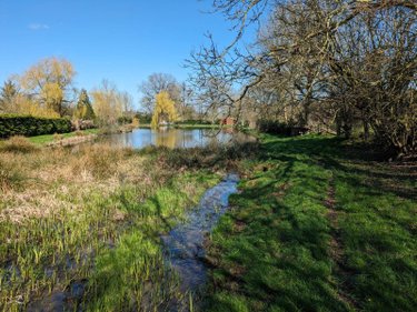 Terrains de loisirs bois etangs a vendre Les Herbiers 85500 Vendée 4125 m2  18000 euros