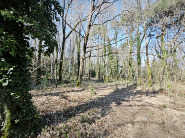 Maison a vendre Locoal-Mendon 56550 Morbihan 104 m2 5 pièces 396200 euros