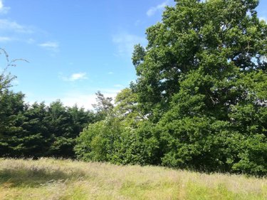 Maison a vendre Chasné-sur-Illet 35250 Ille-et-Vilaine 150 m2 6 pièces 261250 euros
