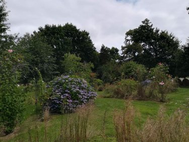 Maison a vendre Saint-Léger-des-Prés 35270 Ille-et-Vilaine 77 m2 4 pièces 136500 euros