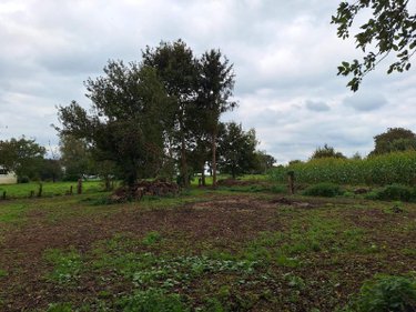 Maison a vendre Parcé 35210 Ille-et-Vilaine 80 m2 4 pièces 94500 euros
