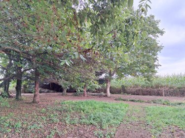 Maison a vendre Parcé 35210 Ille-et-Vilaine 80 m2 4 pièces 94500 euros