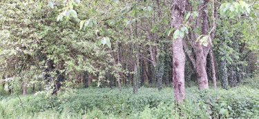 Maison a vendre Mézières-sur-Couesnon 35140 Ille-et-Vilaine 132 m2 5 pièces 235125 euros