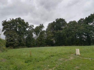 Terrain a batir a vendre Gahard 35490 Ille-et-Vilaine 1135 m2  130625 euros