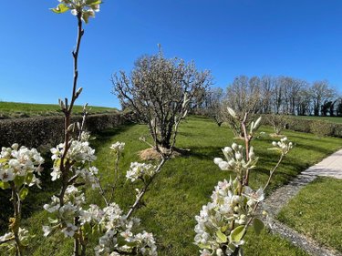 Maison a vendre Trizay-Coutretot-Saint-Serge 28400 Eure-et-Loir 121 m2 5 pièces 169600 euros