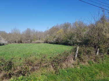 Terrain a batir a vendre La Chapelle-Montmartin 41320 Loir-et-Cher 1274 m2  16280 euros
