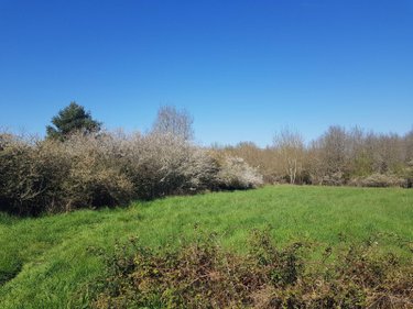 Terrain a batir a vendre La Chapelle-Montmartin 41320 Loir-et-Cher 1274 m2  16280 euros