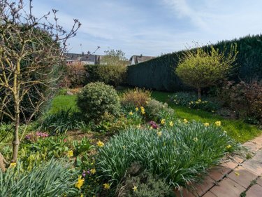 Maison a vendre Saint-Pol-sur-Ternoise 62130 Pas-de-Calais 81 m2 5 pièces 177920 euros