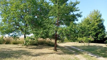 Maison a vendre Pellegrue 33790 Gironde 290 m2 8 pièces 399000 euros