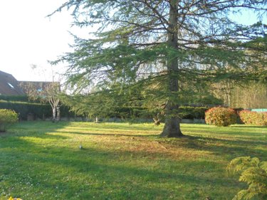 Maison a vendre Saint-Laurent-Nouan 41220 Loir-et-Cher 103 m2 5 pièces 303400 euros