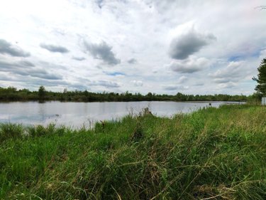 Terrains de loisirs bois etangs a vendre Pierrepont 02350 Aisne 3923 m2  18000 euros