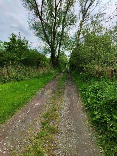Terrains de loisirs bois etangs a vendre Pierrepont 02350 Aisne 3923 m2  18000 euros
