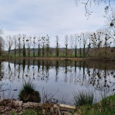 Terrains de loisirs bois etangs a vendre Pré-en-Pail-Saint-Samson 53140 Mayenne  106000 euros