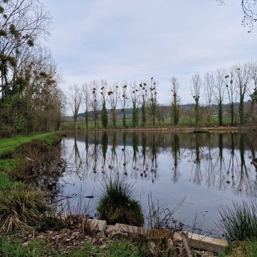 Terrains de loisirs bois etangs a vendre Pré-en-Pail-Saint-Samson 53140 Mayenne  106000 euros