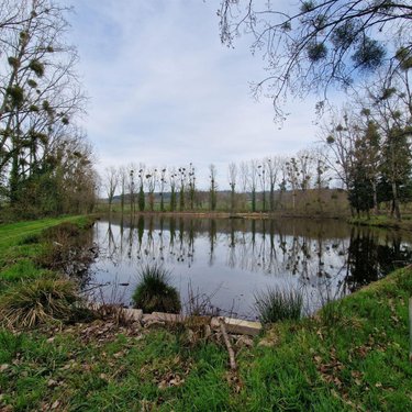Terrains de loisirs bois etangs a vendre Pré-en-Pail-Saint-Samson 53140 Mayenne  106000 euros