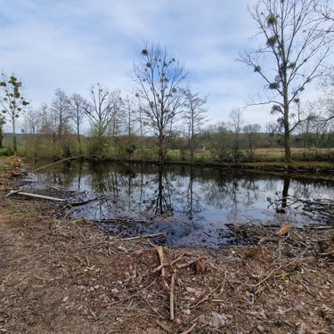Terrains de loisirs bois etangs a vendre Pré-en-Pail-Saint-Samson 53140 Mayenne  106000 euros