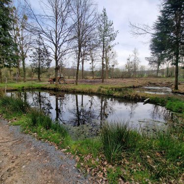 Terrains de loisirs bois etangs a vendre Pré-en-Pail-Saint-Samson 53140 Mayenne  106000 euros