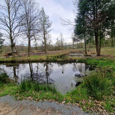 Terrains de loisirs bois etangs a vendre Pré-en-Pail-Saint-Samson 53140 Mayenne  106000 euros