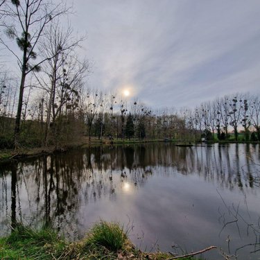 Terrains de loisirs bois etangs a vendre Pré-en-Pail-Saint-Samson 53140 Mayenne  106000 euros