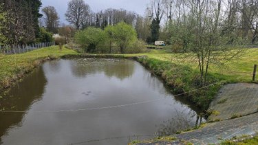 Terrains de loisirs bois etangs a vendre La Fontaine-Saint-Martin 72330 Sarthe 6070 m2  30000 euros