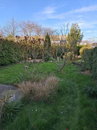 Maison a vendre Bourbourg 59630 Nord 83 m2 6 pièces 166400 euros
