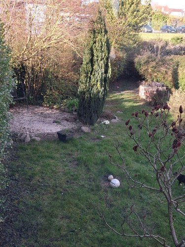 Maison a vendre Bourbourg 59630 Nord 83 m2 6 pièces 166400 euros