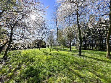 Maison a vendre Killem 59122 Nord 106 m2 4 pièces 168000 euros