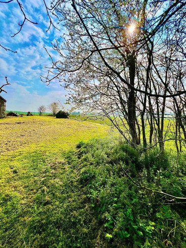 Maison a vendre Luçay-le-Mâle 36360 Indre 205 m2 8 pièces 290000 euros