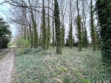 Terrains de loisirs bois etangs a vendre Looberghe 59630 Nord 3800 m2  17500 euros