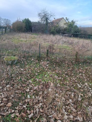 Maison a vendre Henrichemont 18250 Cher 60 m2 3 pièces 76500 euros