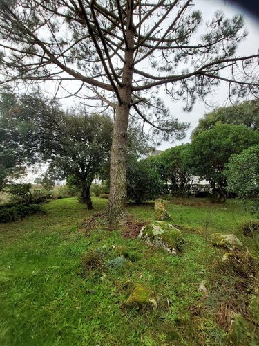 Maison a vendre La Trinité-sur-Mer 56470 Morbihan 102 m2 5 pièces 1872000 euros