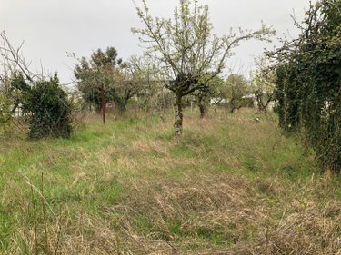 Terrain a batir a vendre Châteauroux 36000 Indre 1480 m2  33000 euros