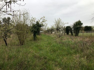 Terrain a batir a vendre Châteauroux 36000 Indre 1480 m2  33000 euros