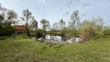 Maison a vendre Noordpeene 59670 Nord 164 m2 7 pièces 370000 euros