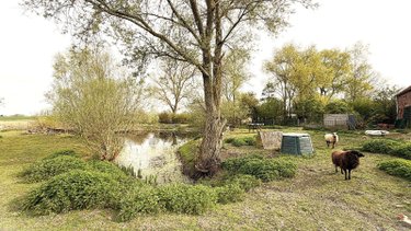 Maison a vendre Noordpeene 59670 Nord 164 m2 7 pièces 370000 euros