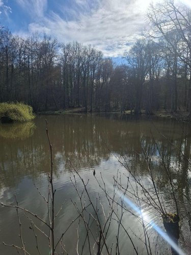 Terrains de loisirs bois etangs a vendre Humbligny 18250 Cher 57000 m2  55000 euros