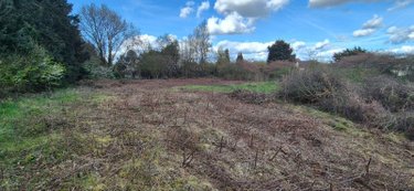 Terrains de loisirs bois etangs a vendre Bonnétable 72110 Sarthe 1882 m2  4250 euros