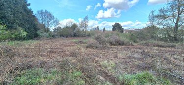 Terrains de loisirs bois etangs a vendre Bonnétable 72110 Sarthe 1882 m2  4250 euros