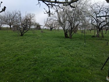 Maison a vendre Saint-Androny 33390 Gironde 107 m2 4 pièces 79000 euros