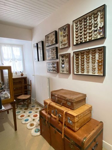 Maison a vendre Marmanhac 15250 Cantal 157 m2 7 pièces 285000 euros