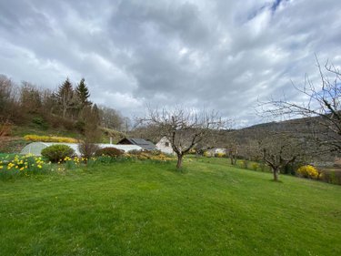 Maison a vendre Marmanhac 15250 Cantal 157 m2 7 pièces 285000 euros