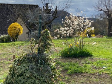 Maison a vendre Marmanhac 15250 Cantal 157 m2 7 pièces 285000 euros