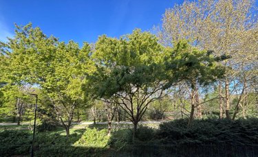 Appartement a vendre Bordeaux 33000 Gironde 75 m2 3 pièces 480000 euros