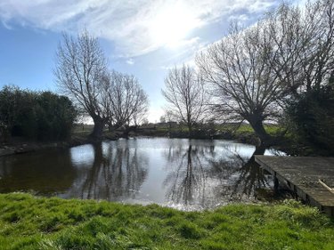 Maison a vendre Killem 59122 Nord 163 m2 7 pièces 352900 euros