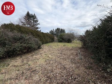 Maison a vendre Roumégoux 15290 Cantal 140 m2 10 pièces 73850 euros