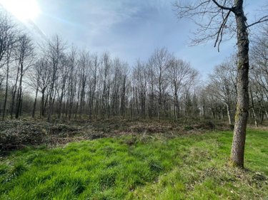 Terrains de loisirs bois etangs a vendre Lignières-Orgères 53140 Mayenne 124200 m2  84560 euros