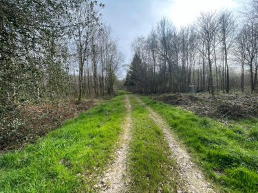Terrains de loisirs bois etangs a vendre Lignières-Orgères 53140 Mayenne 124200 m2  84560 euros
