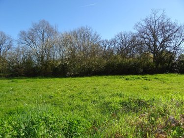 Maison a vendre Leignes-sur-Fontaine 86300 Vienne 80 m2 4 pièces 26000 euros